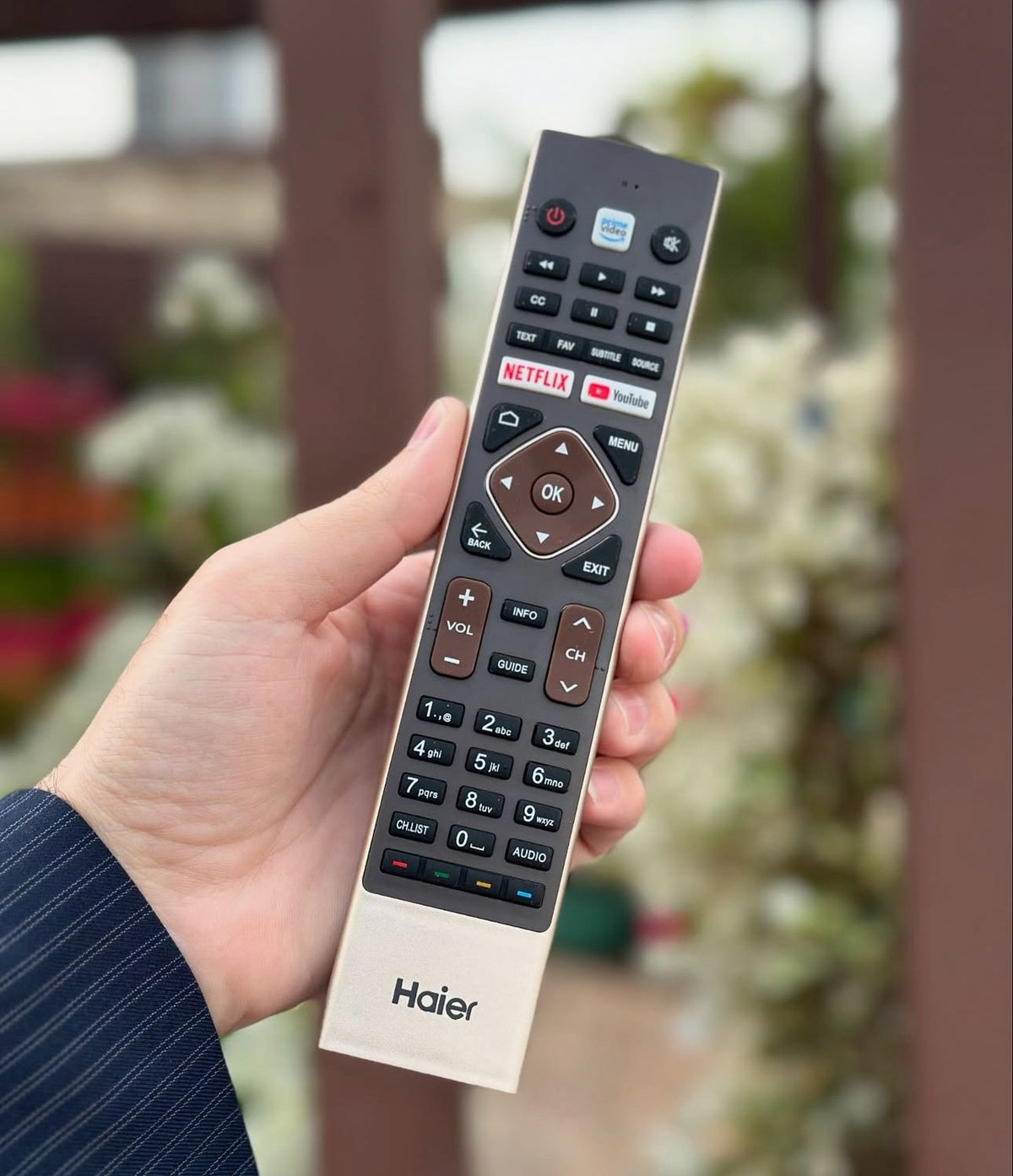 Haier ريموت تلفزيون ماركة